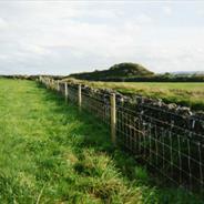 Agricultural 11